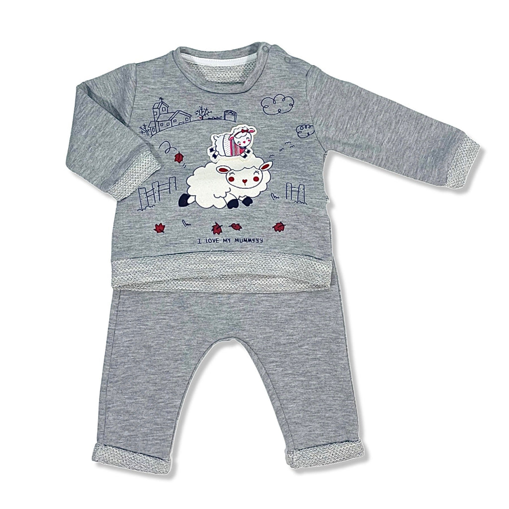 Grey sweatshirt and pants set for girls 